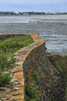 Marais salants de la presqu'île Guérandaise - MK3_4482_DXO.jpg