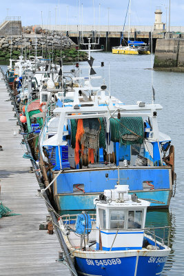 Port de la Turballe - MK3_4488_DXO.jpg