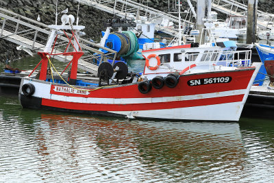 Port de la Turballe - MK3_4497_DXO.jpg