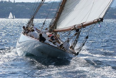 Voiles de Saint-Tropez 2005