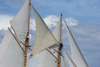 Voiles de Saint-Tropez 2005