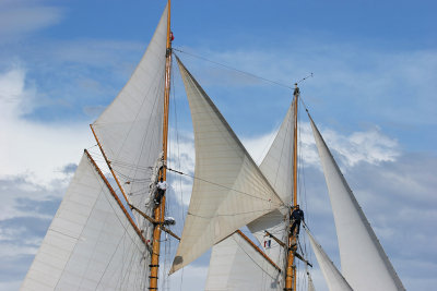 Voiles de Saint-Tropez 2005