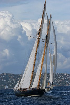 Voiles de Saint-Tropez 2005