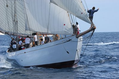 Voiles de Saint-Tropez 2005