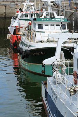 Port de la Turballe - MK3_4508_DXO.jpg