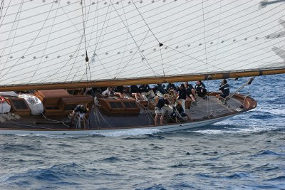 Voiles de Saint-Tropez 2005