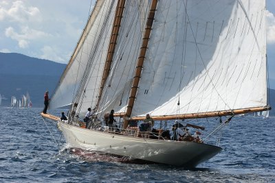 Voiles de Saint-Tropez 2005