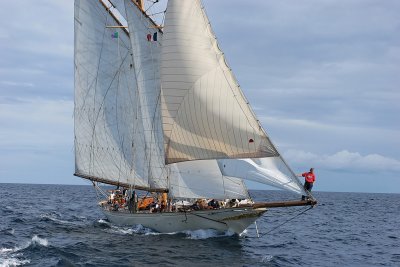 Voiles de Saint-Tropez 2005