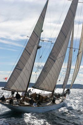 Voiles de Saint-Tropez 2005