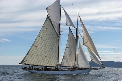 Voiles de Saint-Tropez 2005