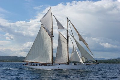 Voiles de Saint-Tropez 2005