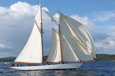 Voiles de Saint-Tropez 2005