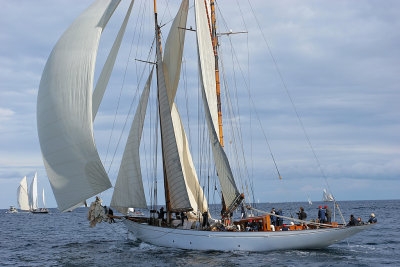 Voiles de Saint-Tropez 2005