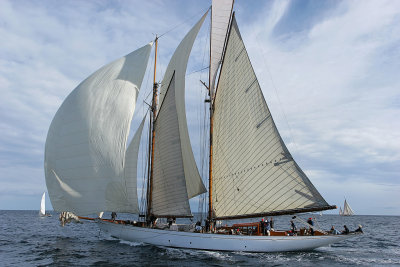 Voiles de Saint-Tropez 2005