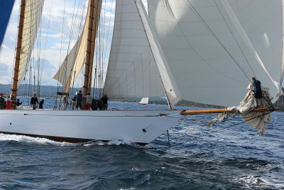 Voiles de Saint-Tropez 2005