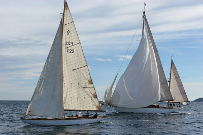 Voiles de Saint-Tropez 2005