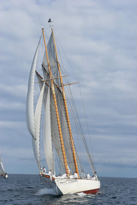 Voiles de Saint-Tropez 2005