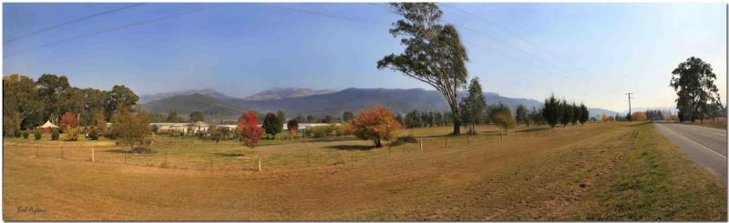 Myrtleford Pana.jpg