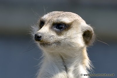 _MG_66302.jpg