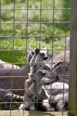 _MG_6650.jpg