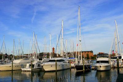 g4/09/553709/3/51914152._MG_9495.jpg