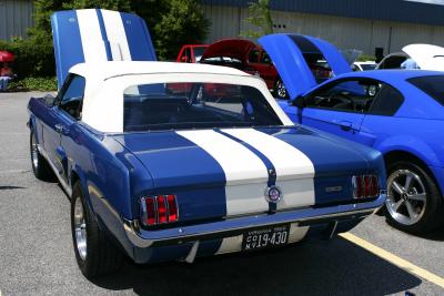 SE Virginia Mustang Club Car Show at Beach Ford