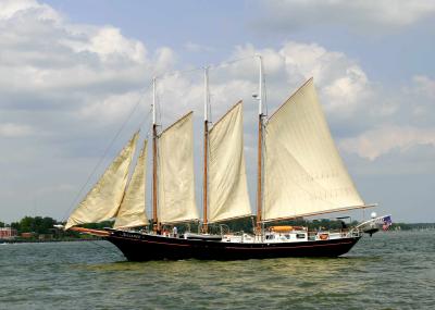 _MG_2429.JPG