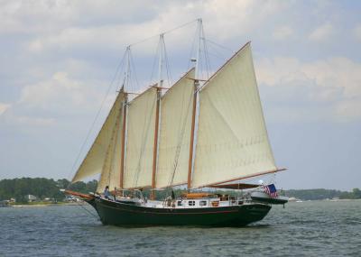 _MG_2437.JPG