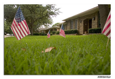 7/3 - Lawn Flags