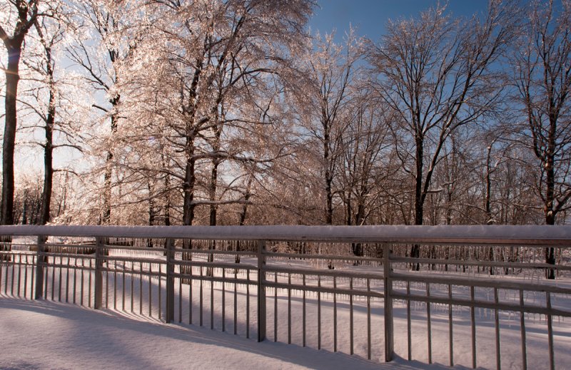 Winter scene in Quebec