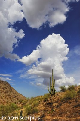 Arizona Monsoon