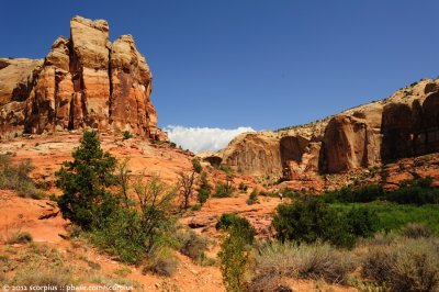 Lower Calf Creek Falls