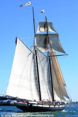 Festival of Sail