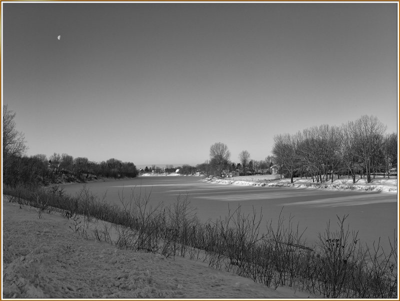 CF012505_BW.jpg