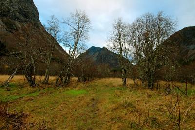 DSC_6801.jpg
