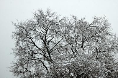 DSC_7084.jpg