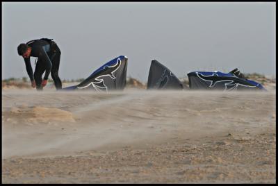 Wind-y surfing