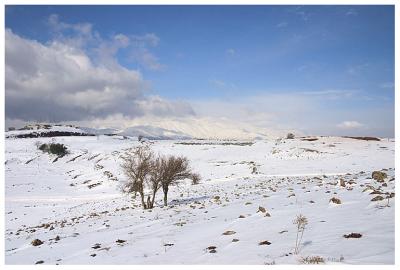Golan Heights