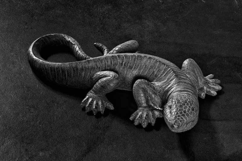 Lizard