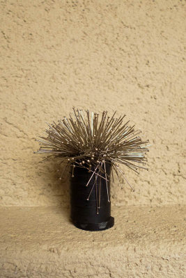 Spiky bouquet