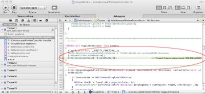 Crash debugger window.jpg