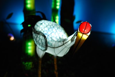 The Magic of Lanterns 2011 / La magie des lanternes 2011