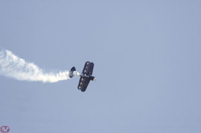 Pitts S2B