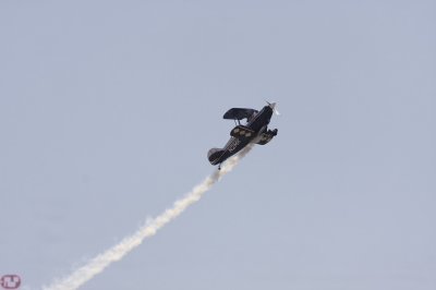 Pitts S2B