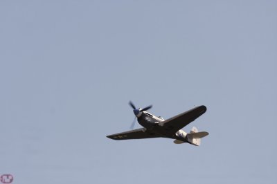 P40