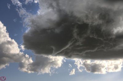 IMG_1822.JPG