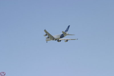 IMG_6922.JPG
