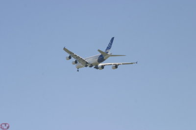 IMG_6924.JPG