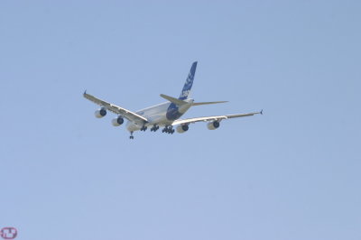 IMG_6926.JPG