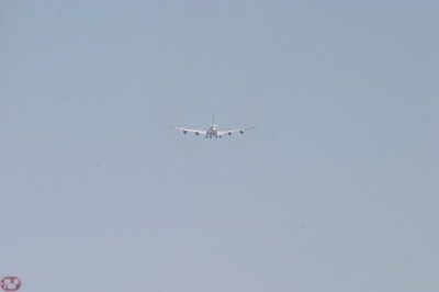 IMG_6950.JPG